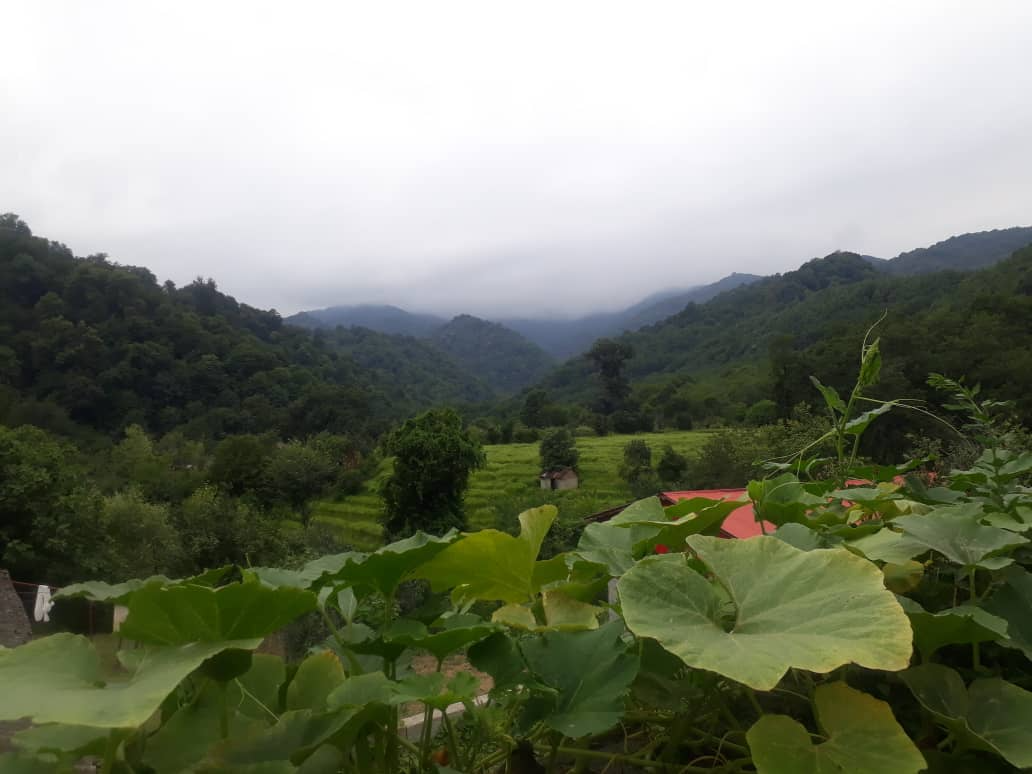 نمای بیرونی ساختمان نمای بیرونی ساختمان