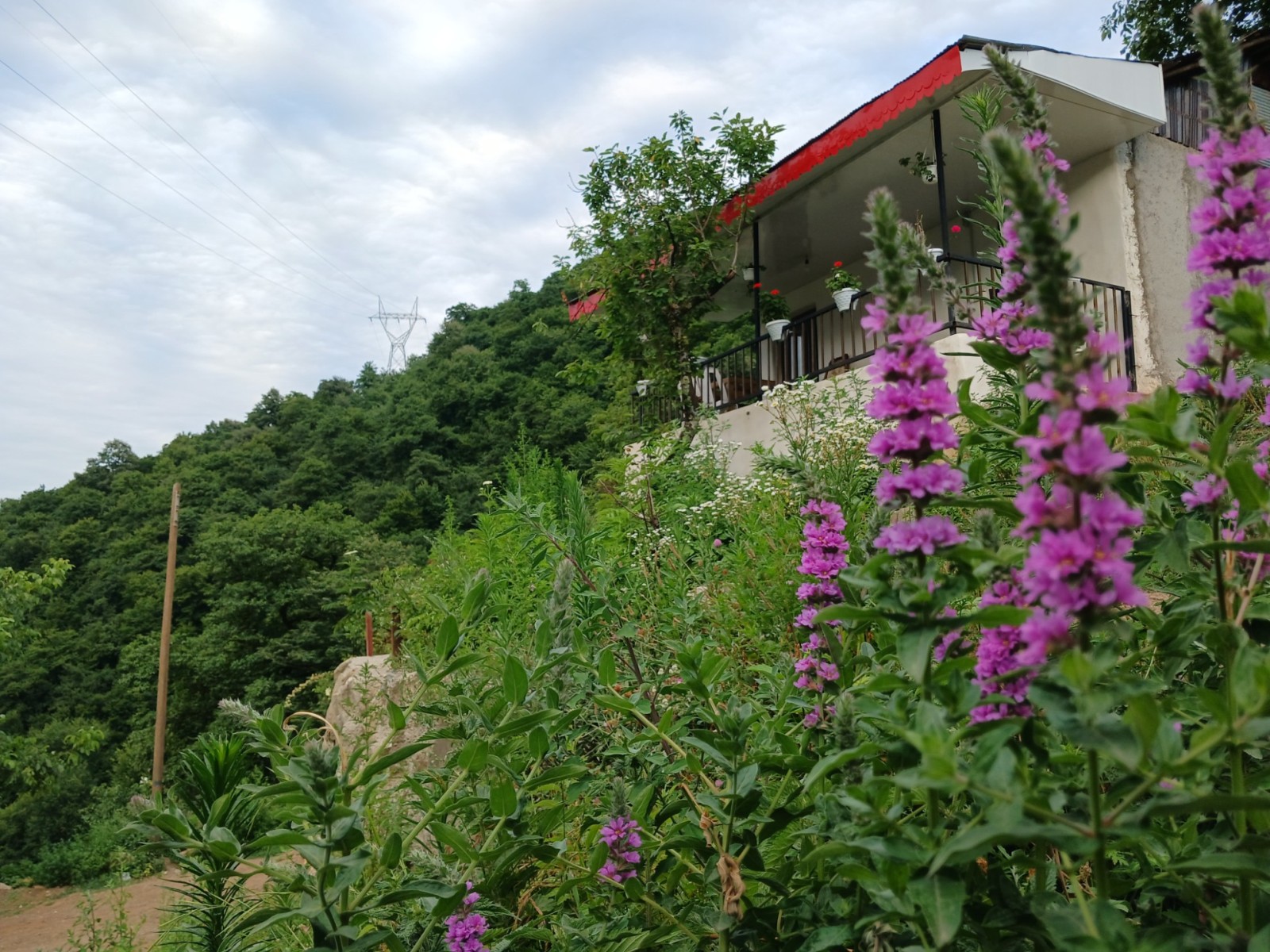 نمای بیرونی ساختمان نمای بیرونی ساختمان