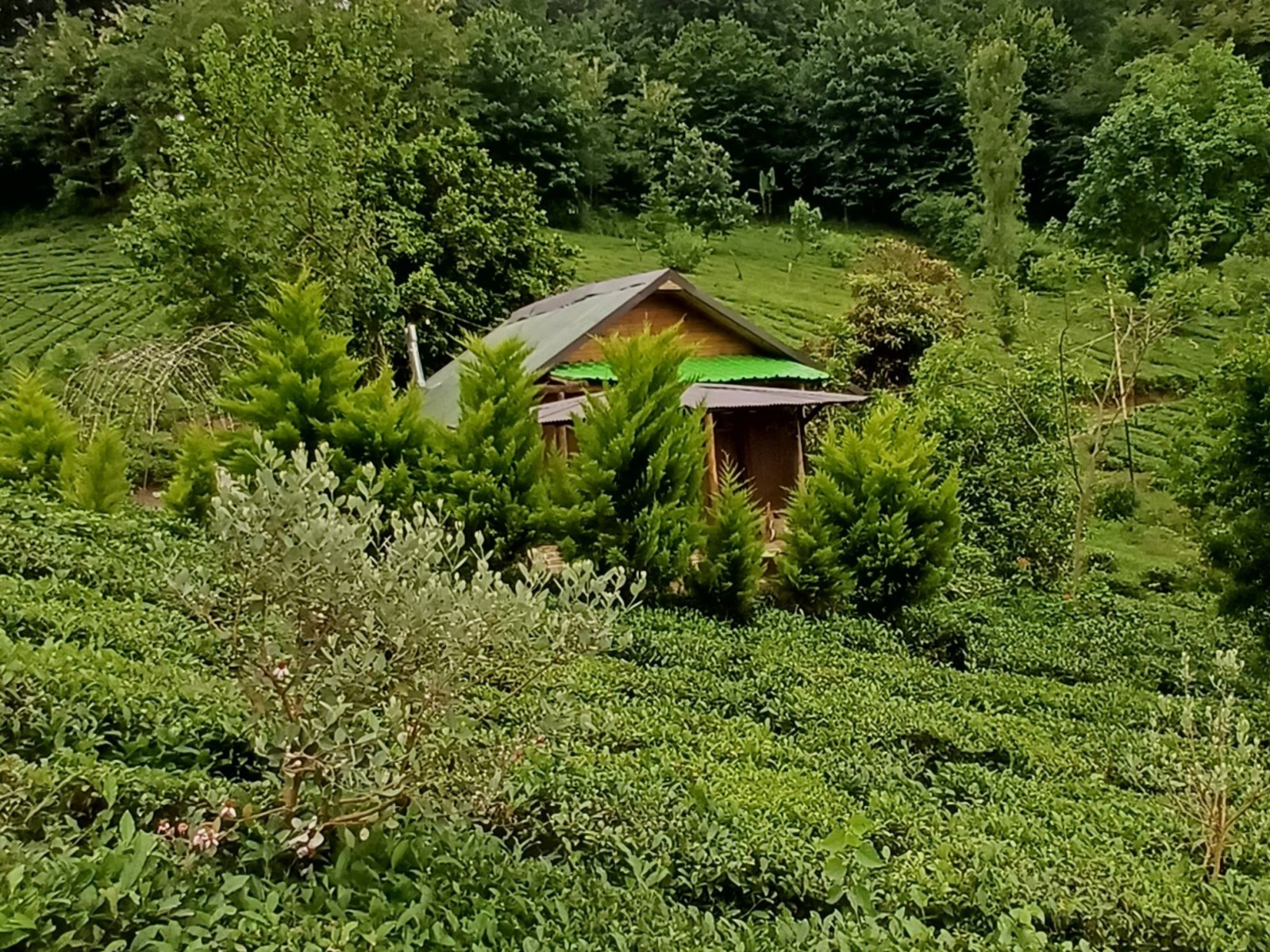 نمای بیرونی ساختمان