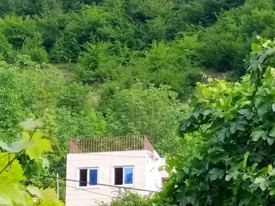 اقامتگاه "گل‌ بنفشه‌" در رامیان