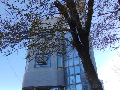 واحد تک خوابه تیران