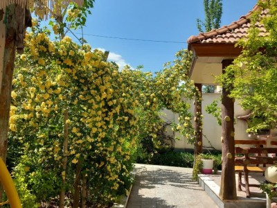 ویلا تک خواب دارای حیاط زیبا