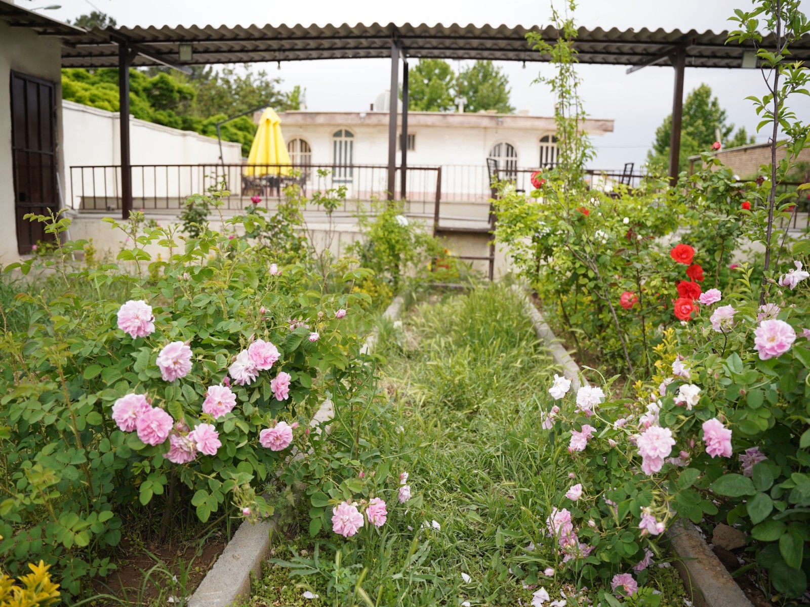 نمای بیرونی ساختمان نمای بیرونی ساختمان