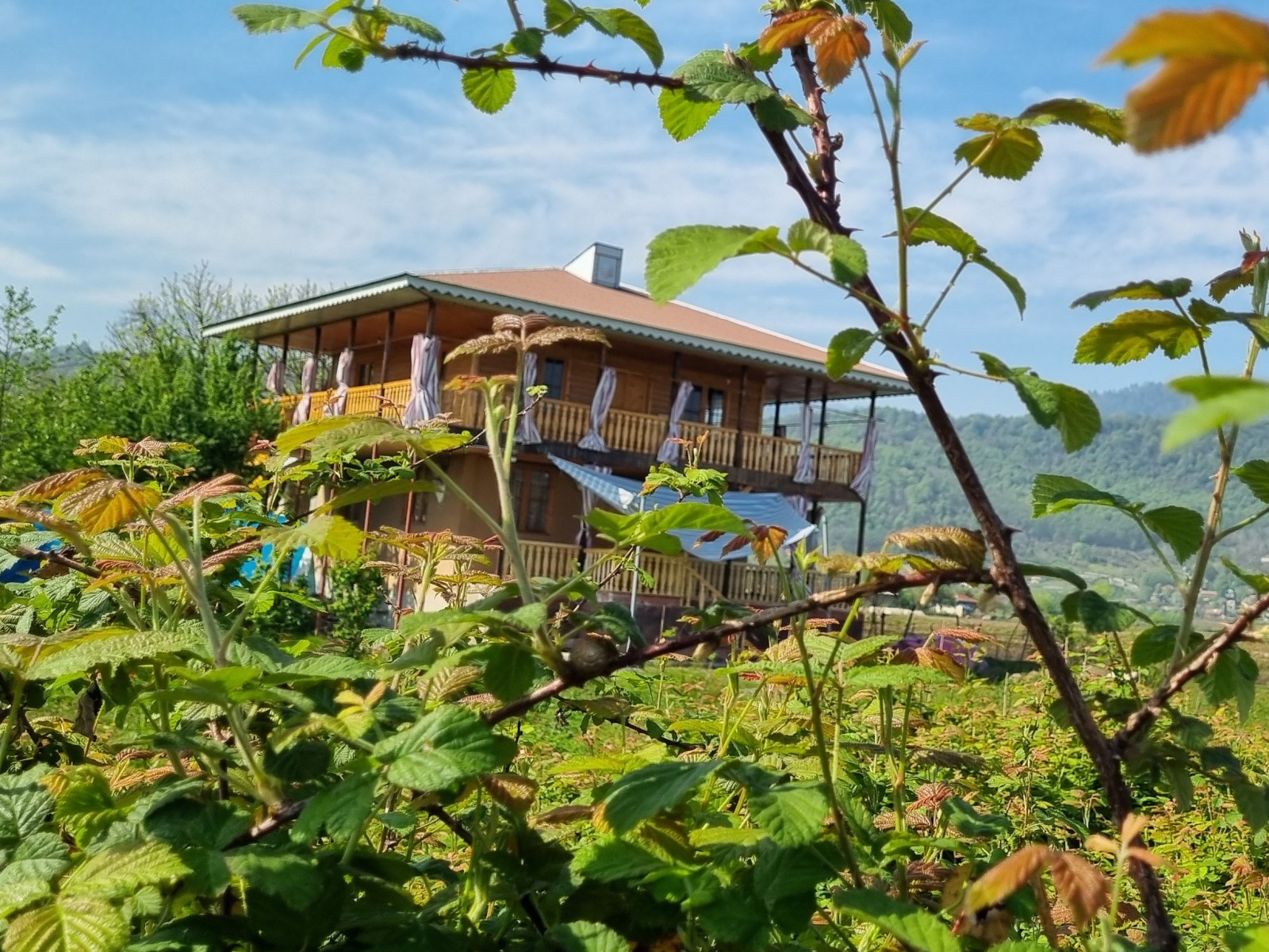 نمای بیرونی ساختمان