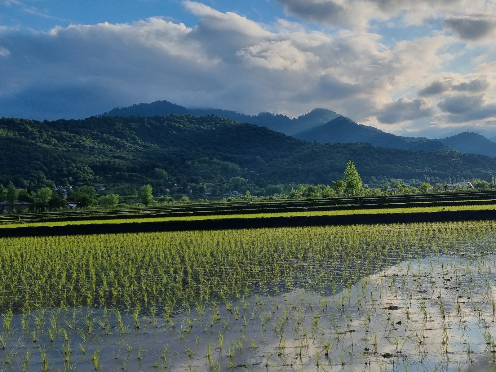 نمای بیرونی ساختمان