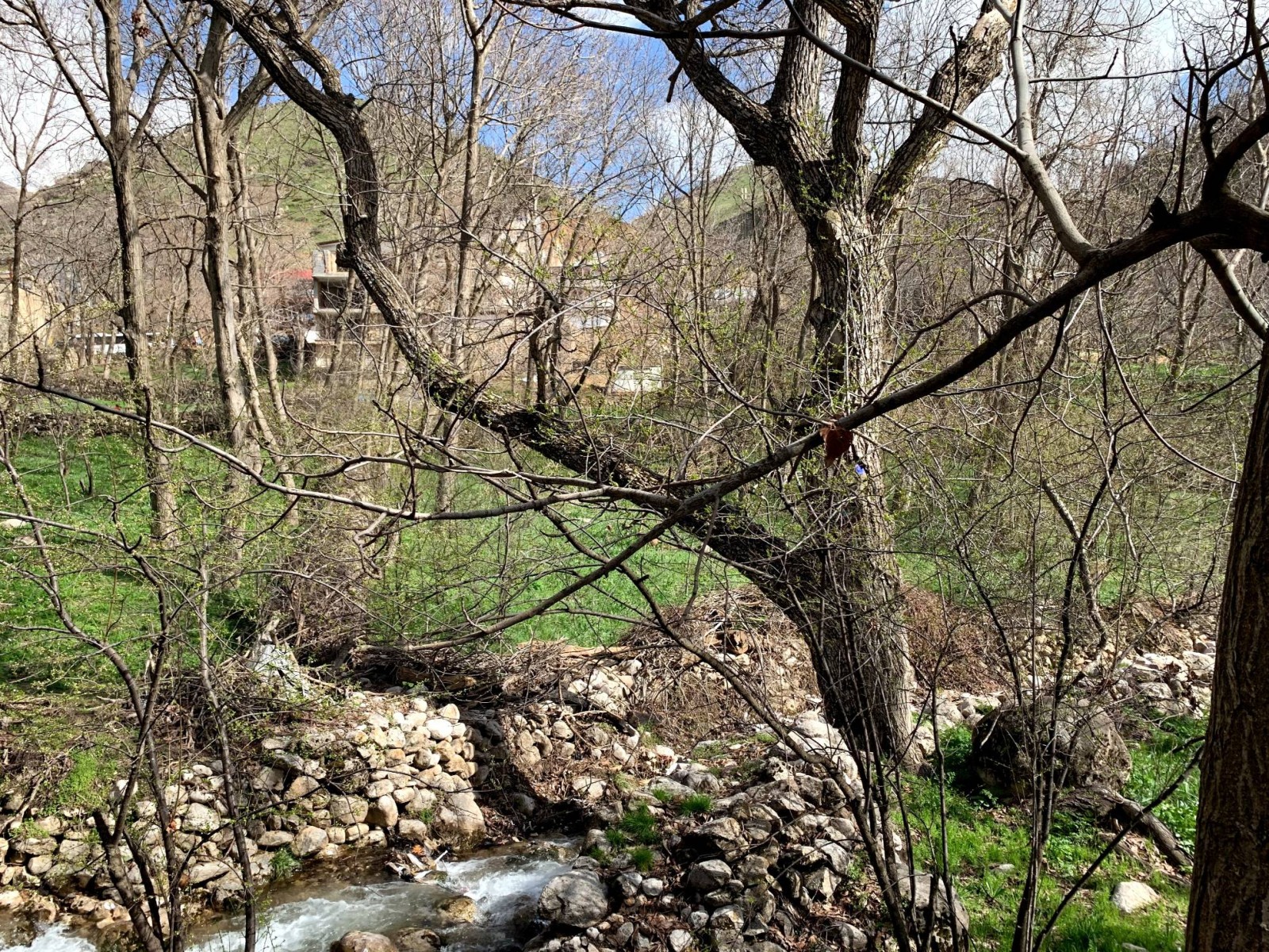 محوطه اطراف
