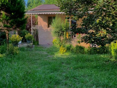ویلای سرسبز دوخوابه