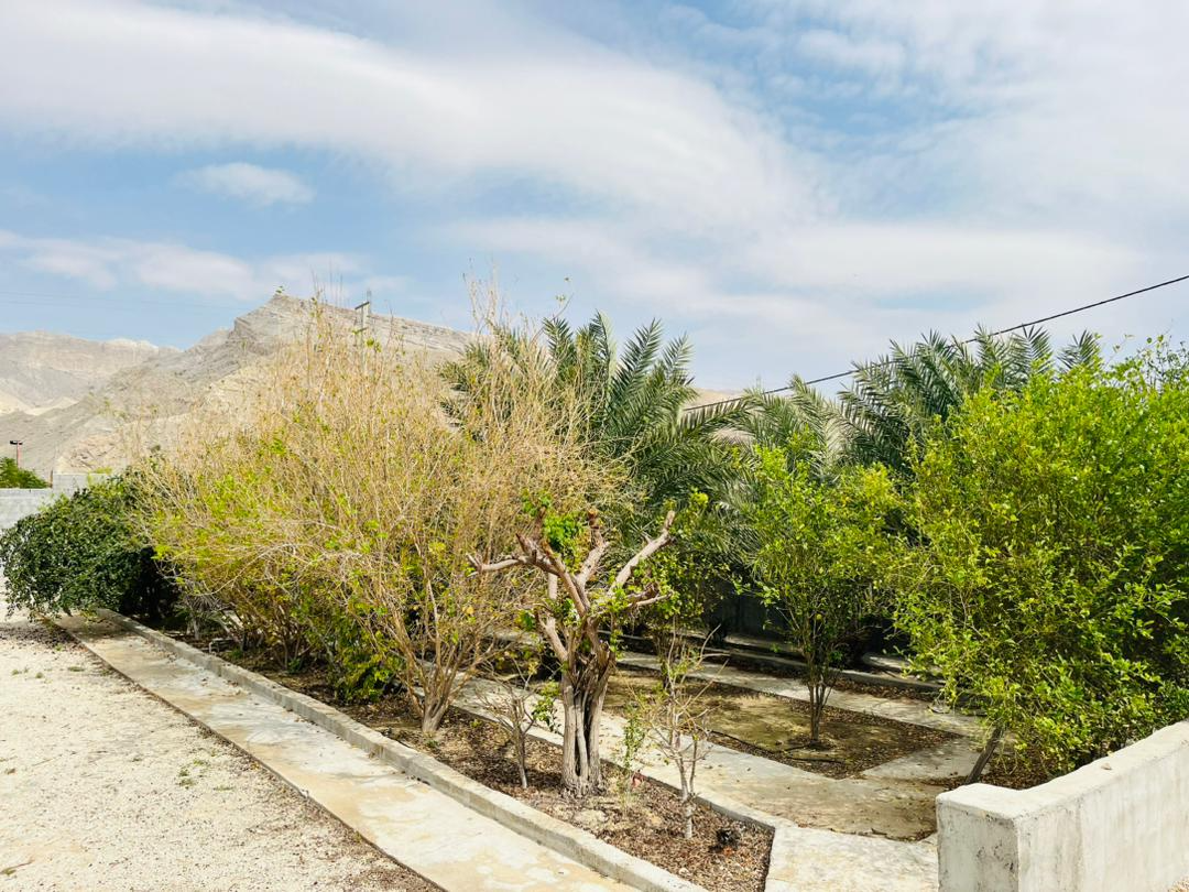 نمای بیرونی ساختمان