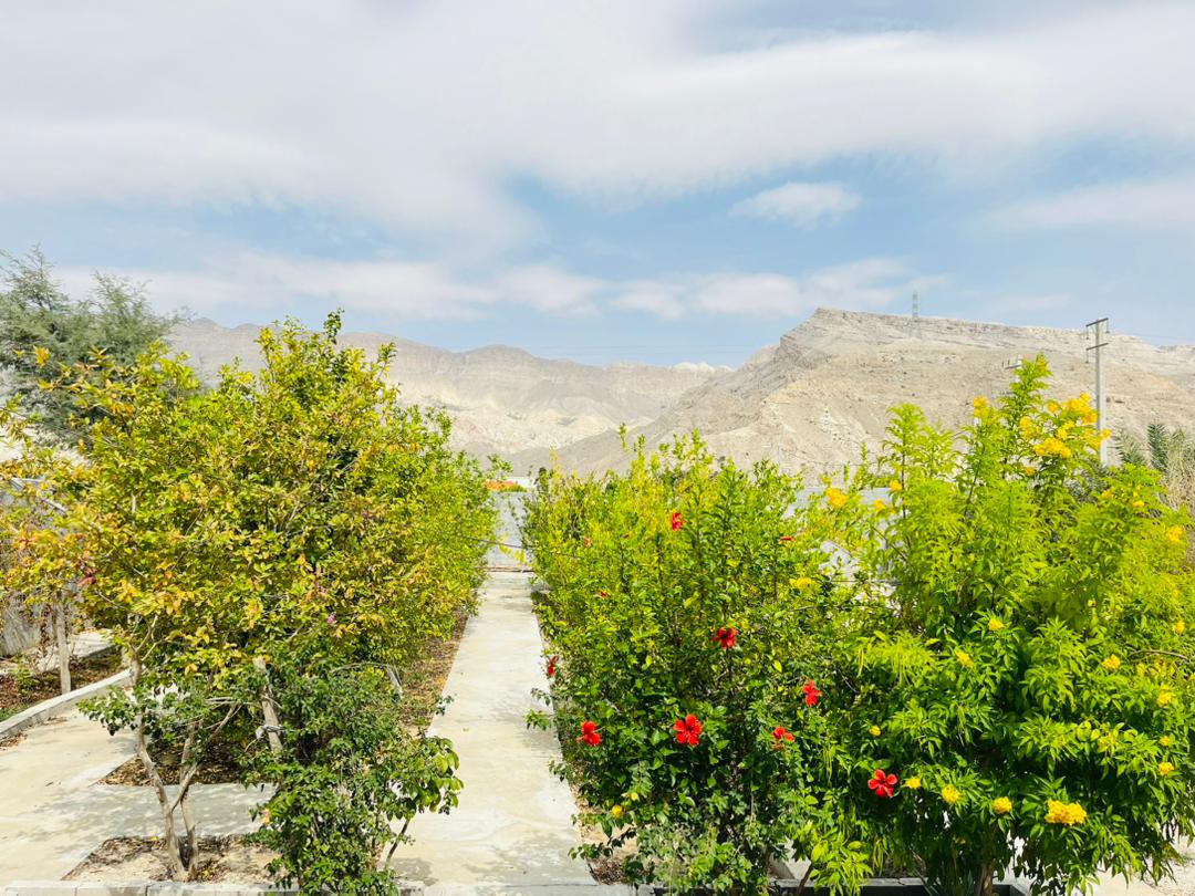 نمای بیرونی ساختمان