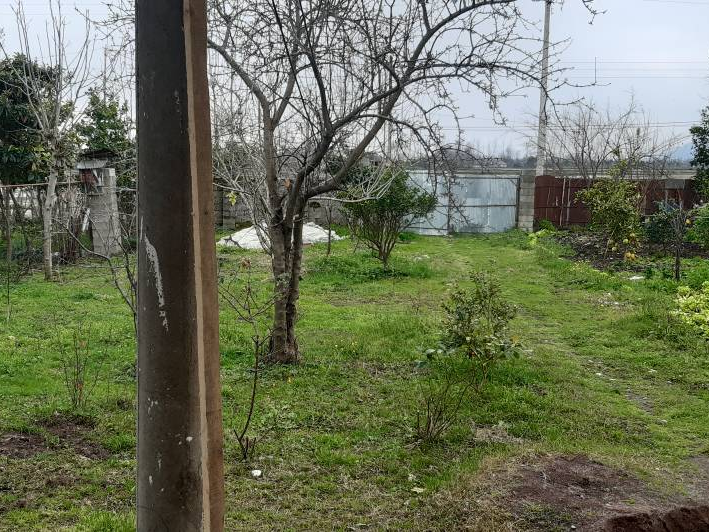 نمای حیاط