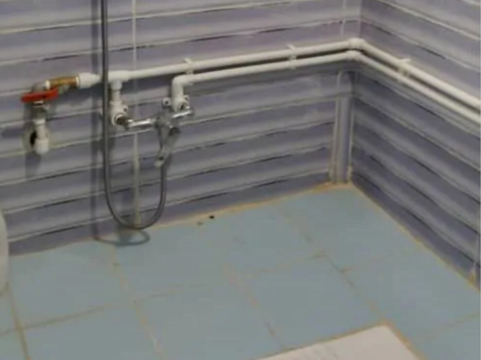 سرویس بهداشتی