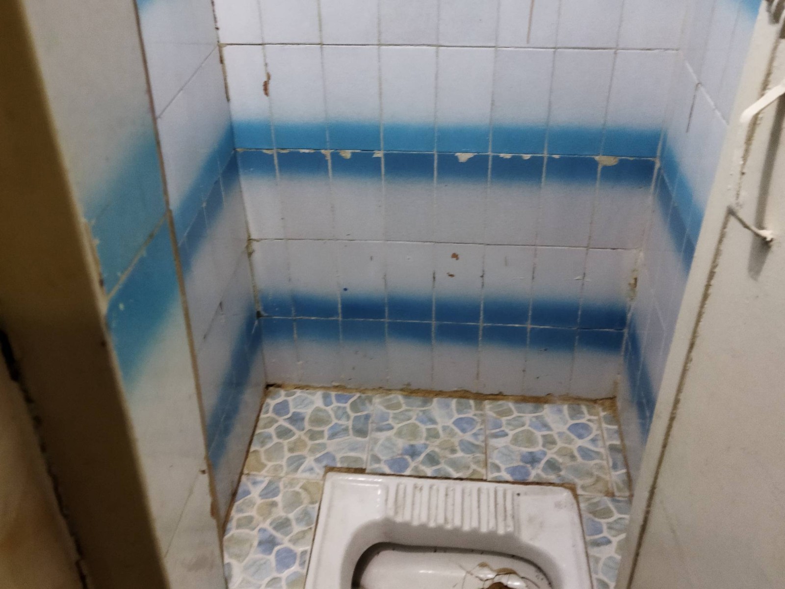 سرویس بهداشتی