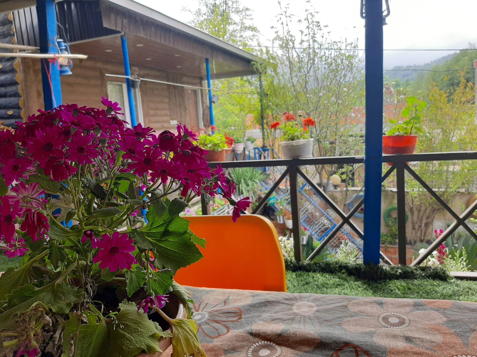 اتاق پذیرایی