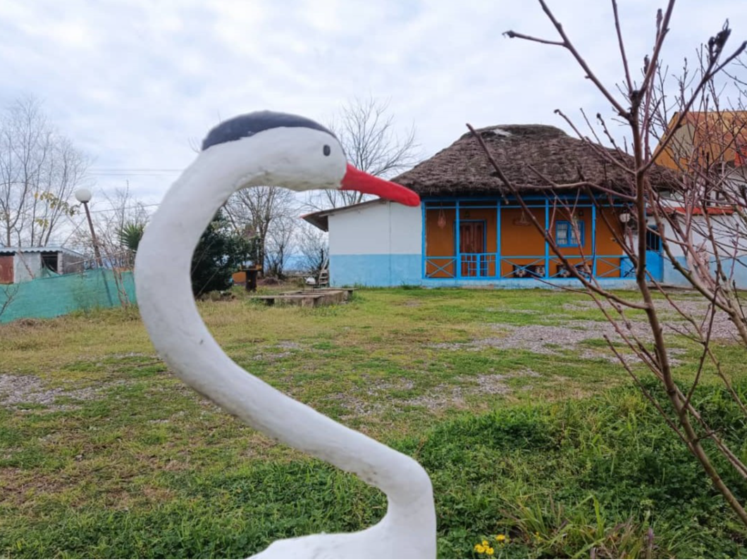 نمای بیرونی ساختمان