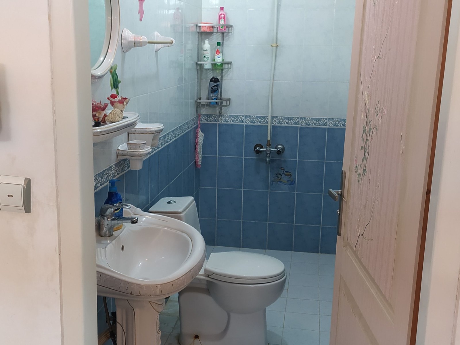 سرویس بهداشتی