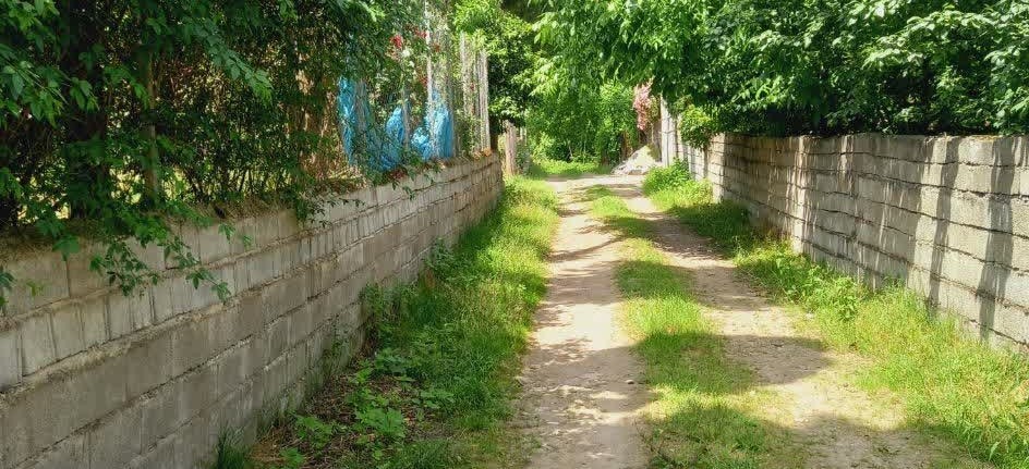 محوطه اطراف اقامتگاه