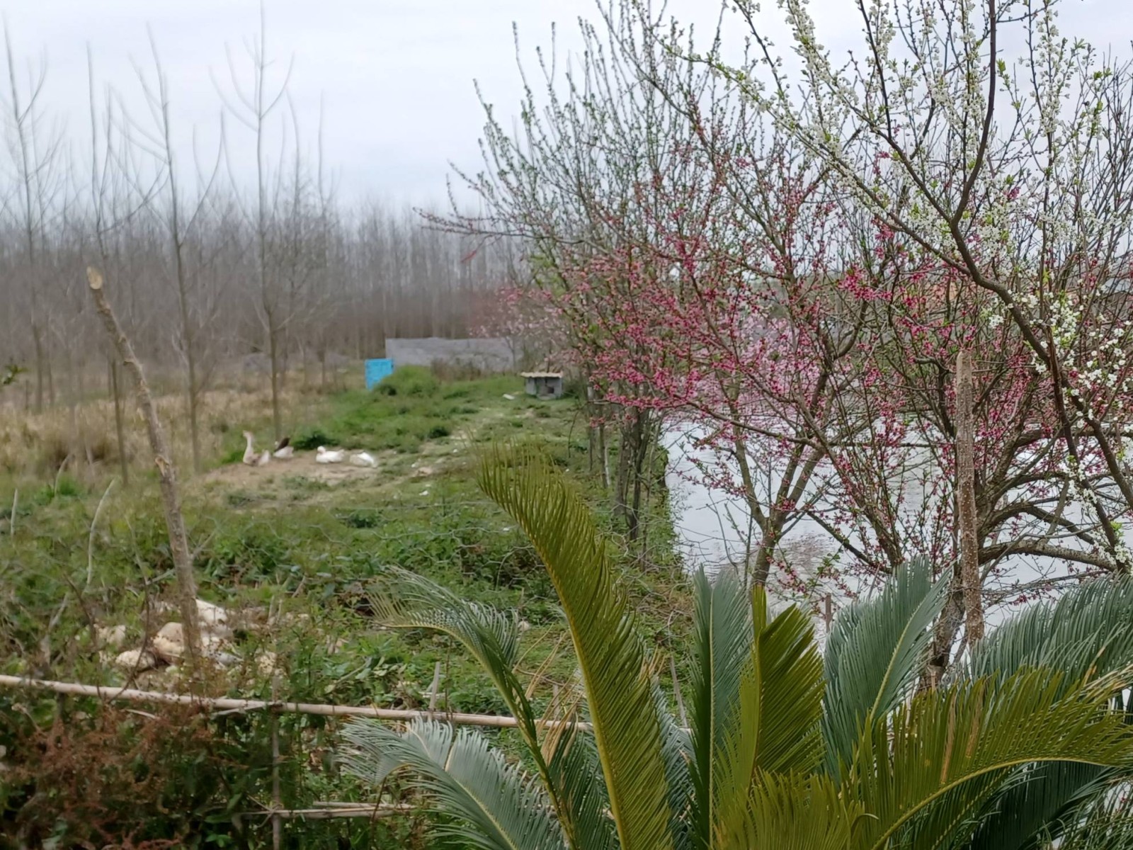 ویو کنار دریاچه ویو کنار دریاچه