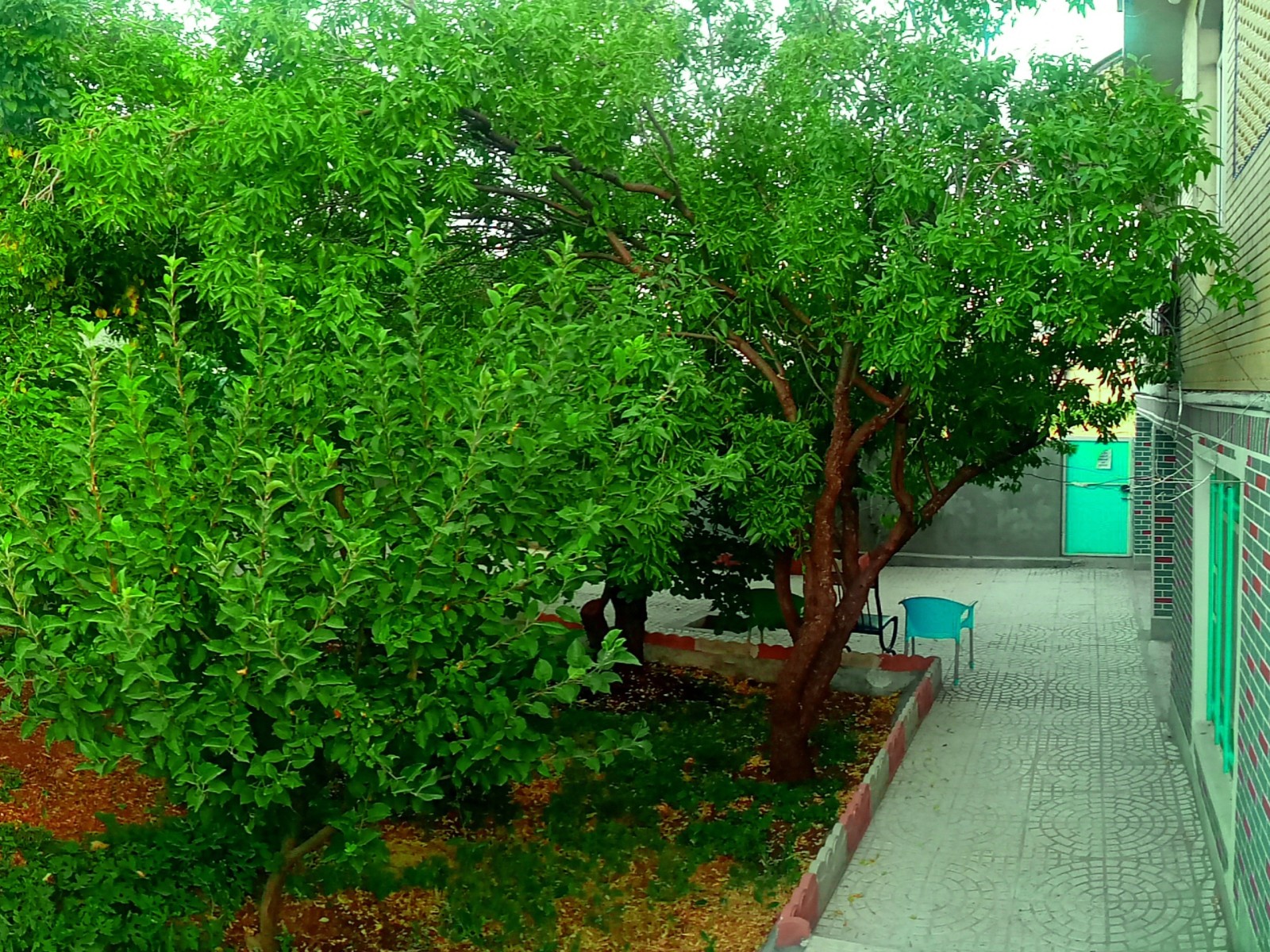 نمای بیرونی ساختمان