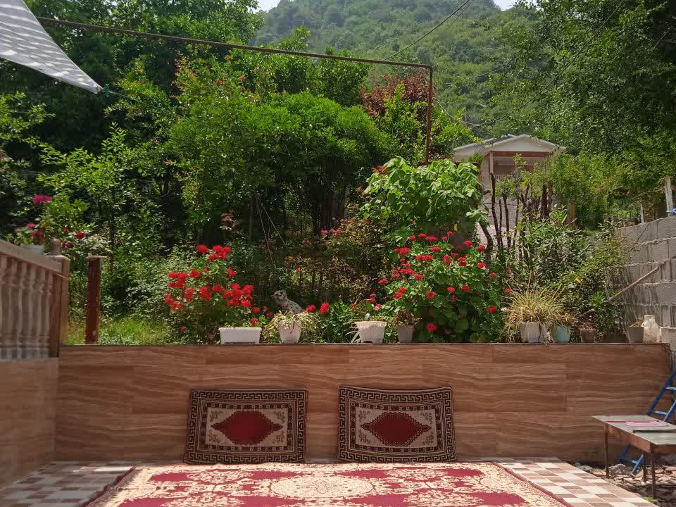 نمای بیرونی ساختمان