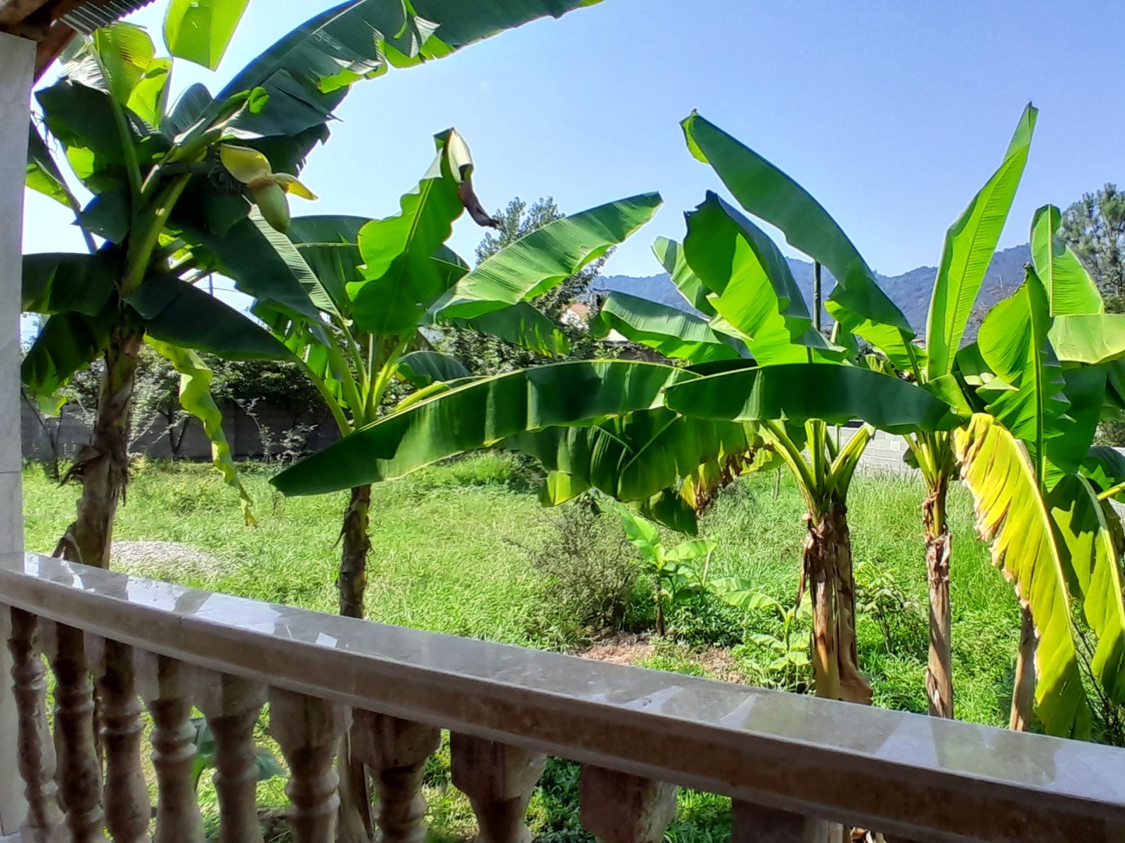 نمای بیرونی ساختمان