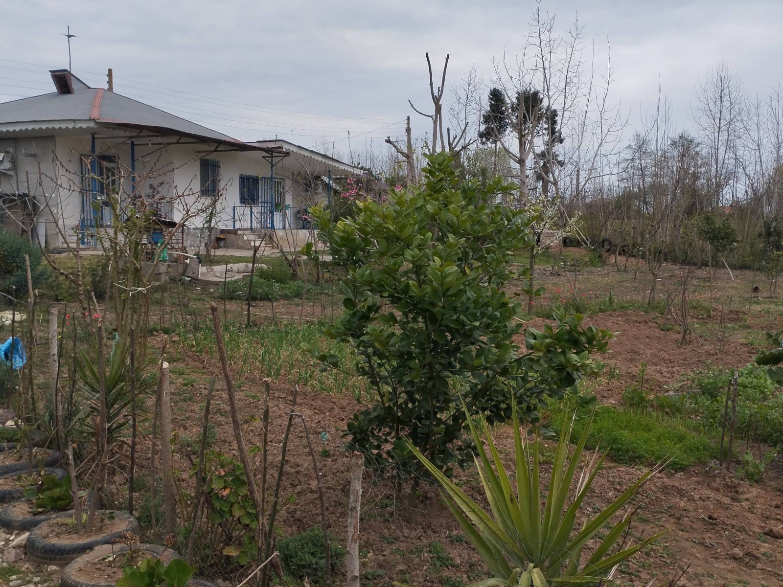 نمای بیرونی ساختمان