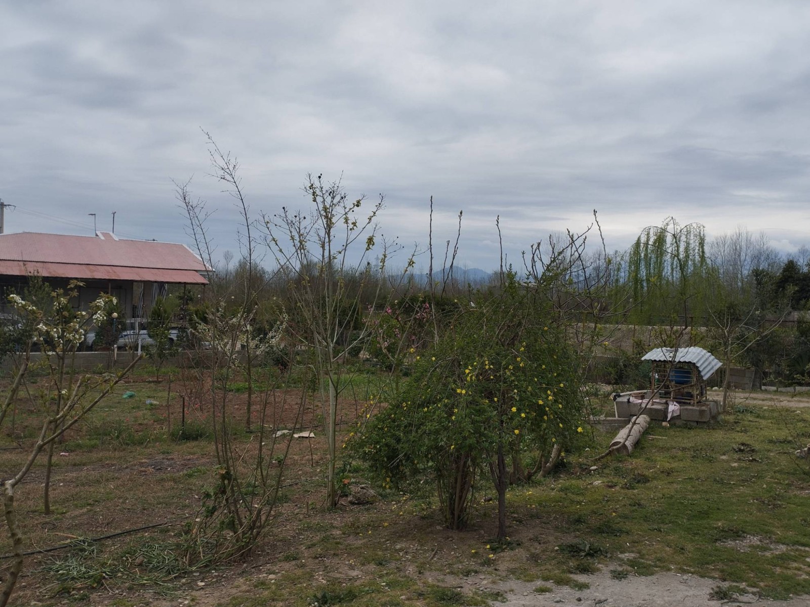 نمای بیرونی ساختمان