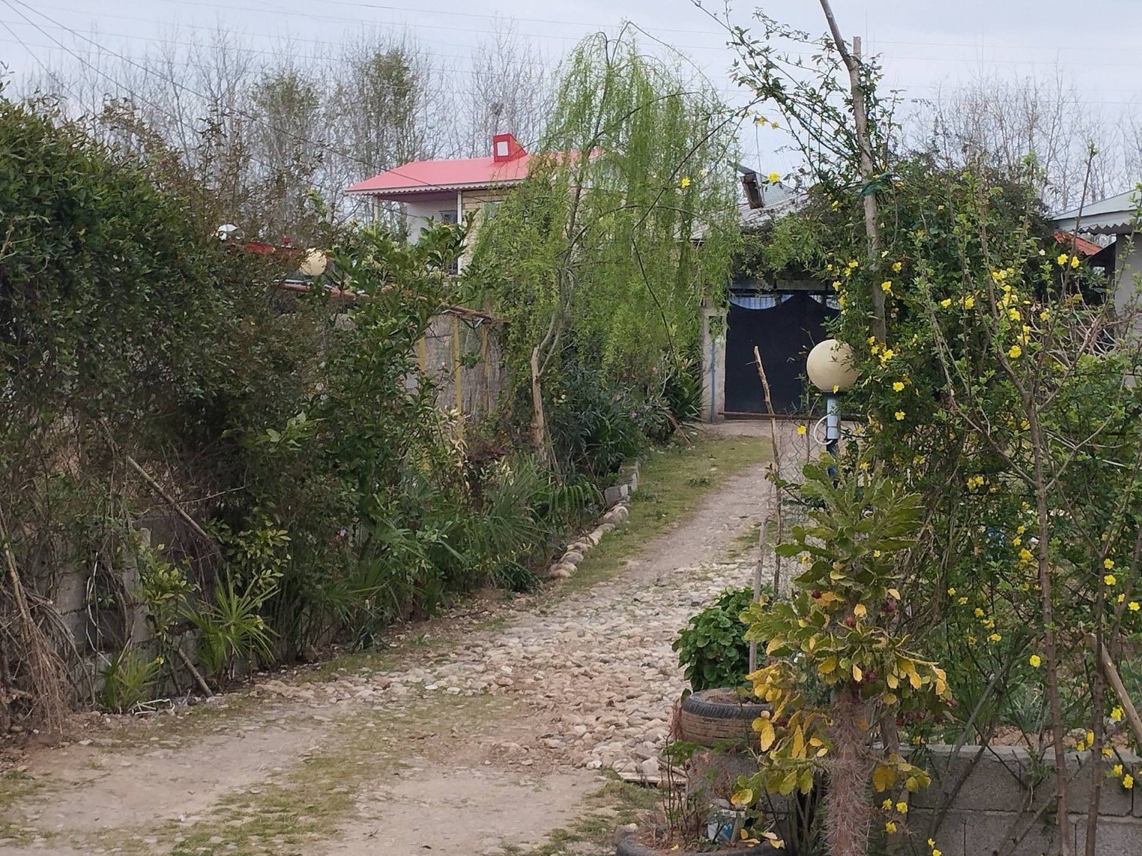 نمای بیرونی ساختمان