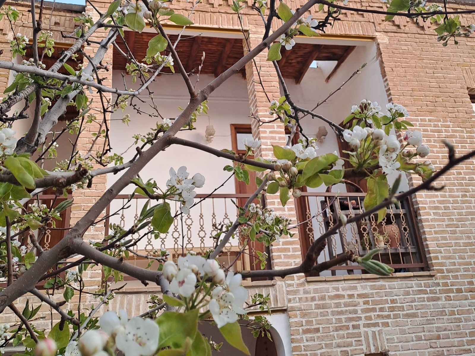 نمای بیرونی ساختمان