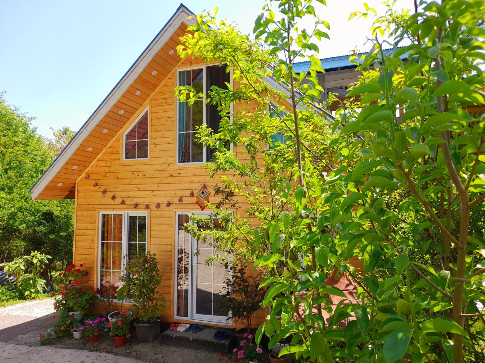 نمای بیرونی ساختمان نمای بیرونی ساختمان