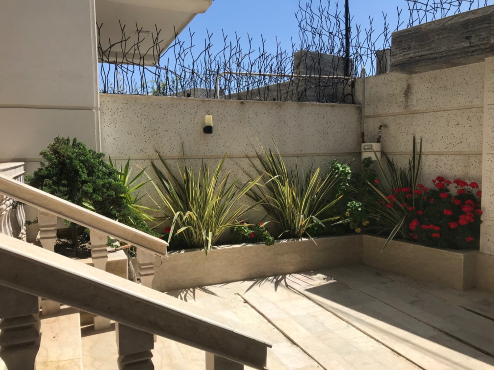 فضای سبز حیاط