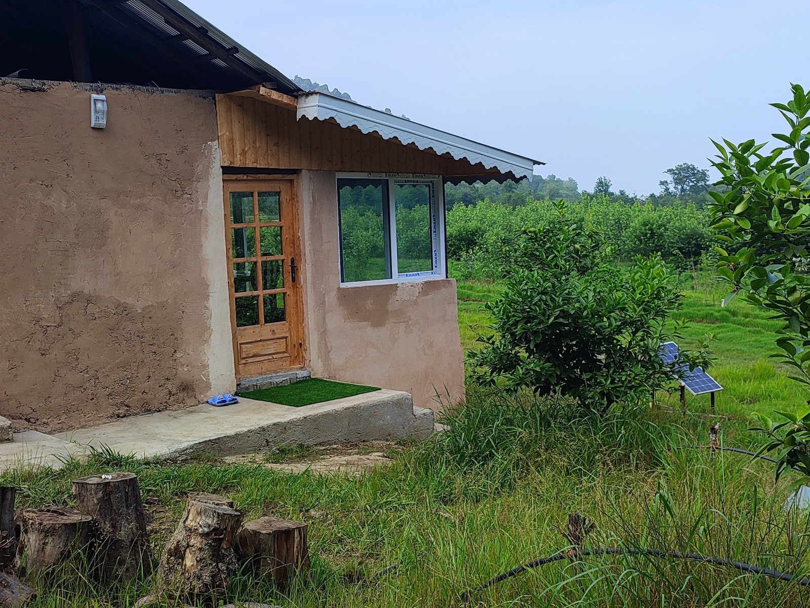 نمای بیرونی ساختمان نمای بیرونی ساختمان