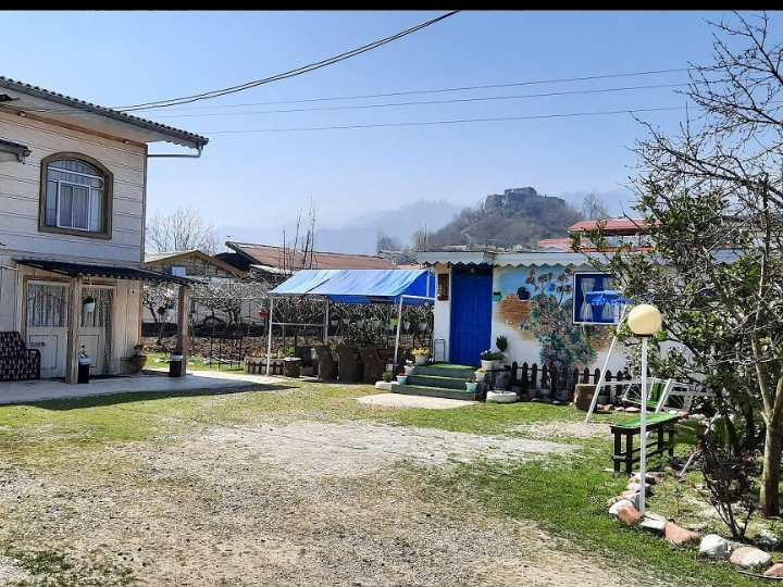 حیاط