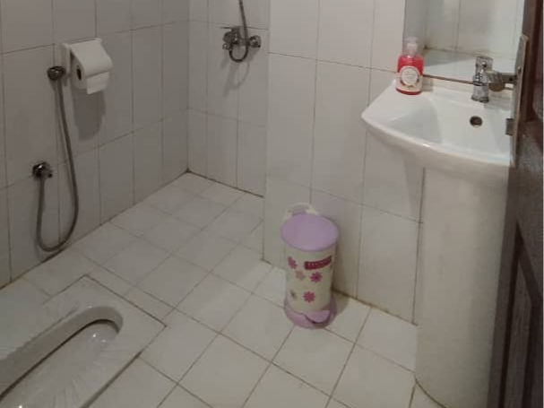 سرویس بهداشتی