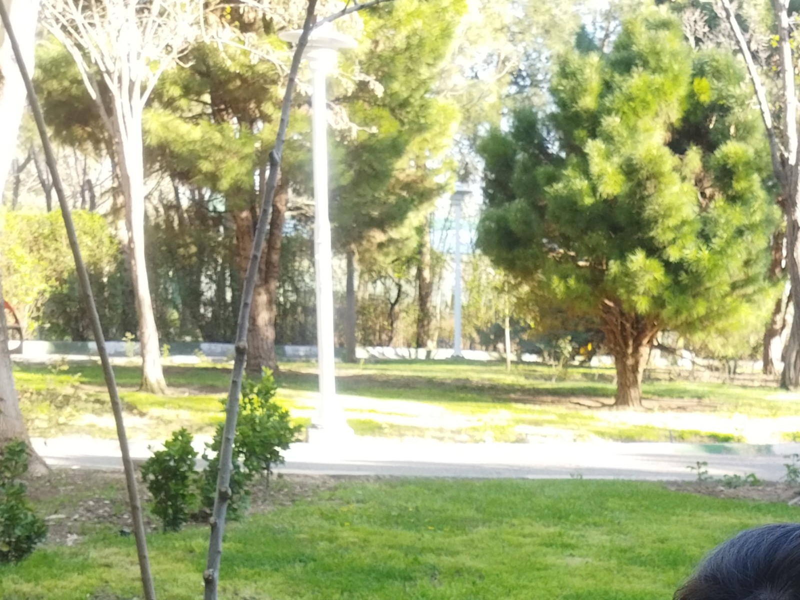 نمای بیرونی