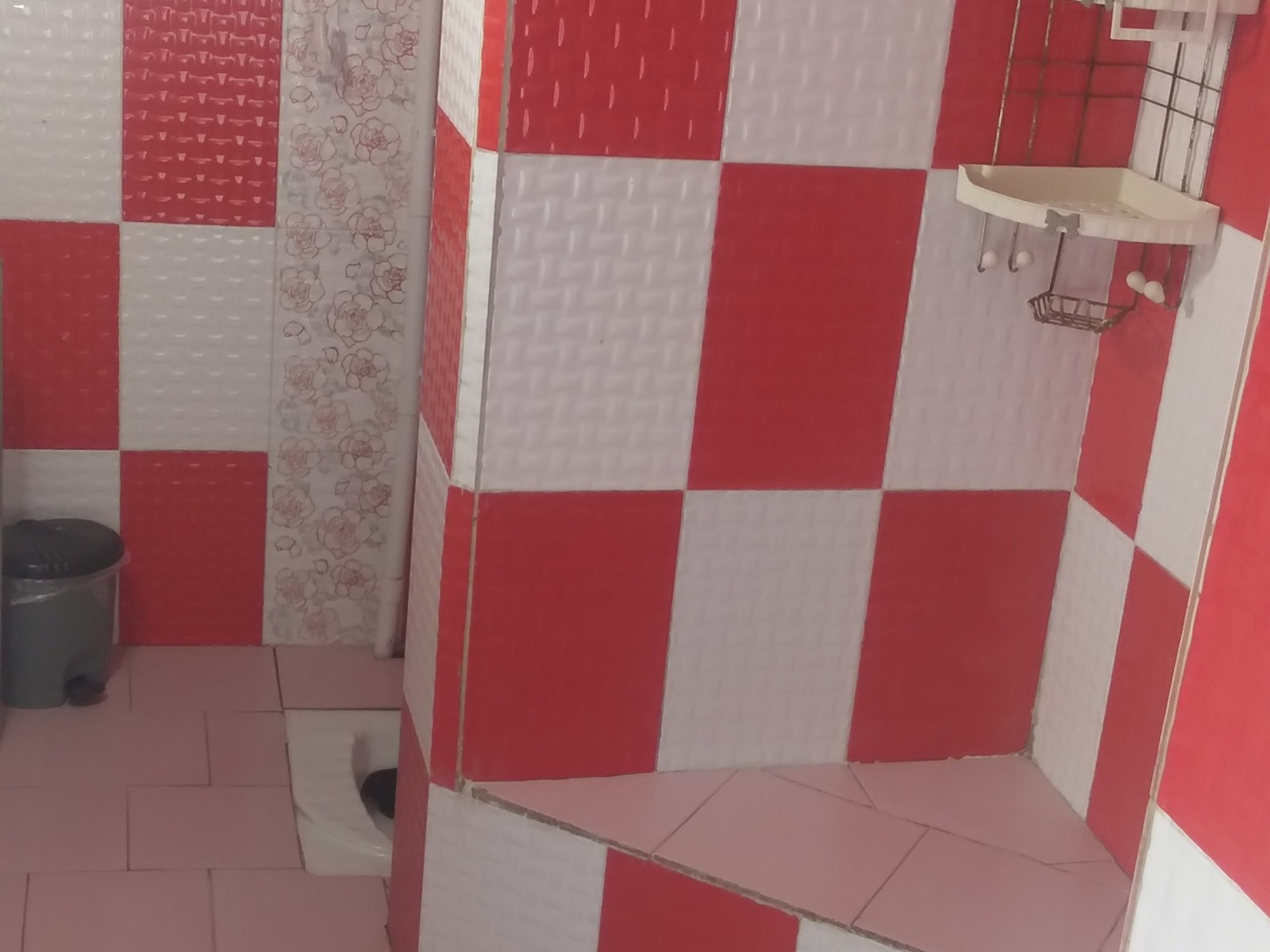 سرویس بهداشتی