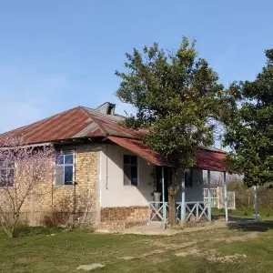 نمای ساختمان