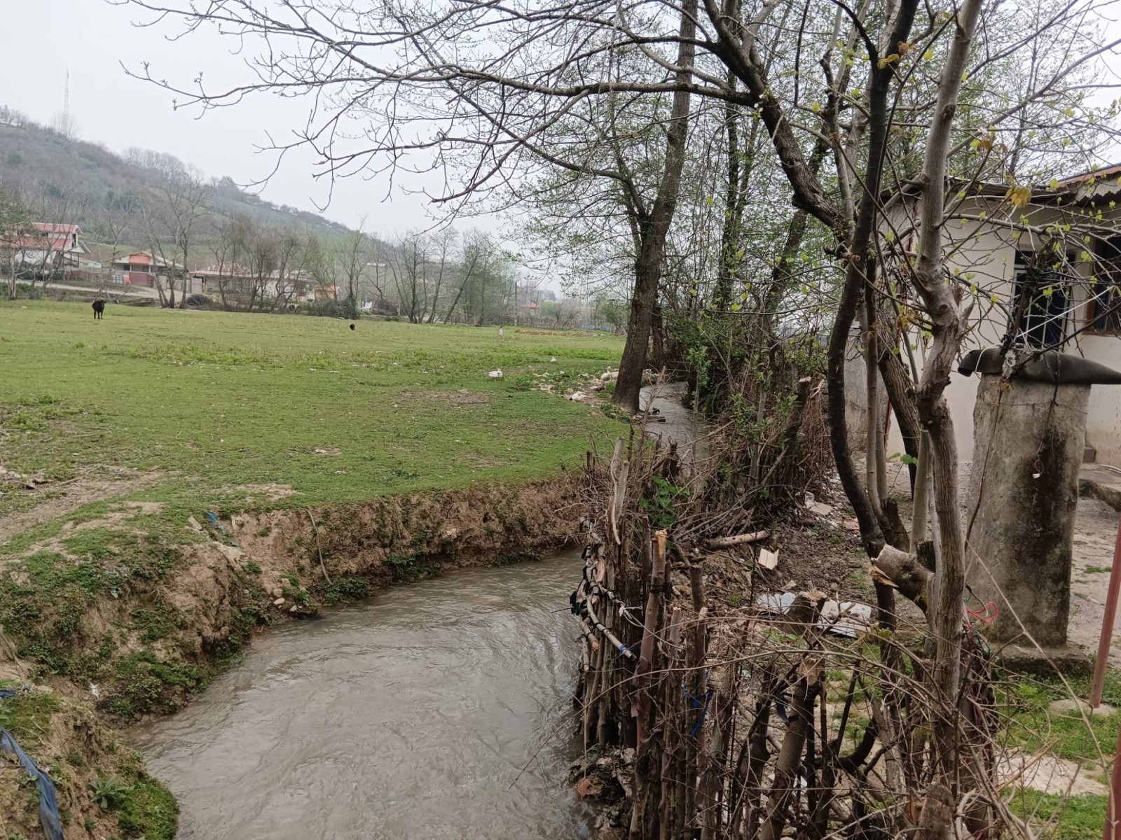 نمای بیرونی نمای بیرونی