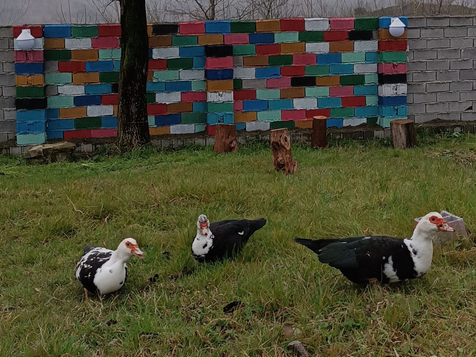 نمای بیرونی ساختمان