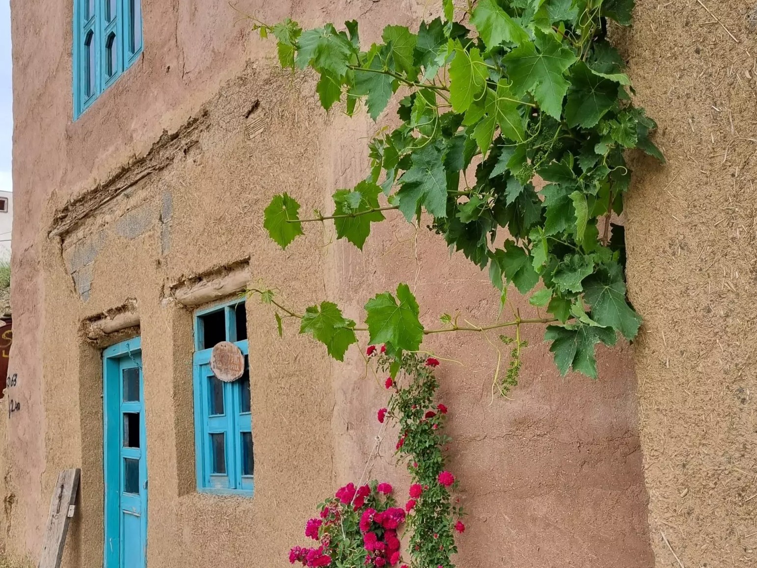 نمای ساختمان