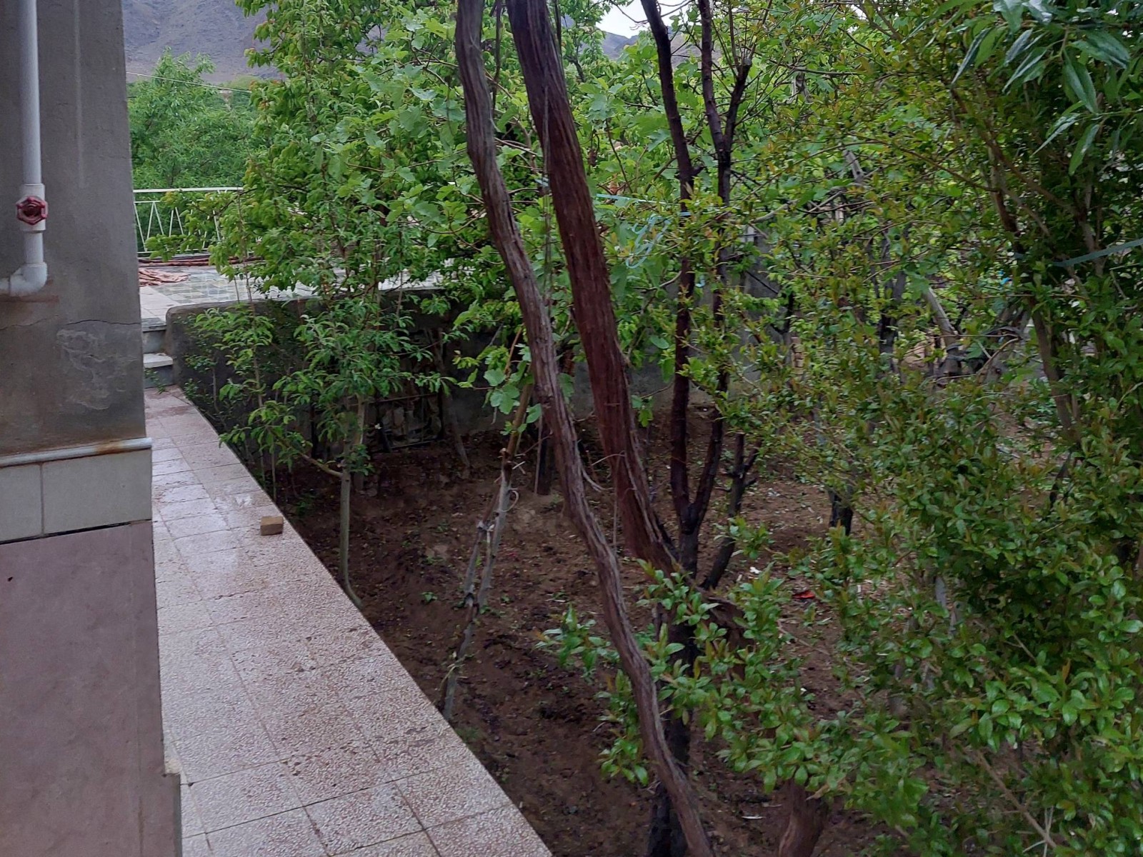 نمای بیرونی ساختمان