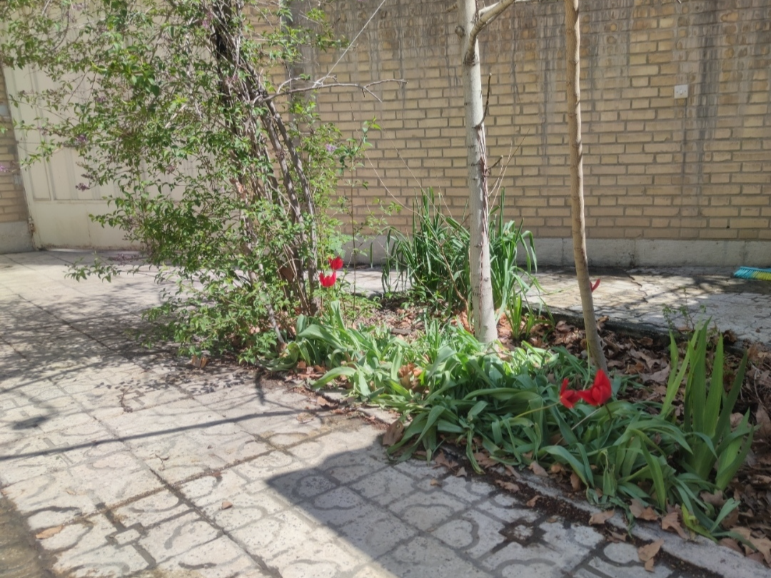 نمای بیرونی ساختمان نمای بیرونی ساختمان