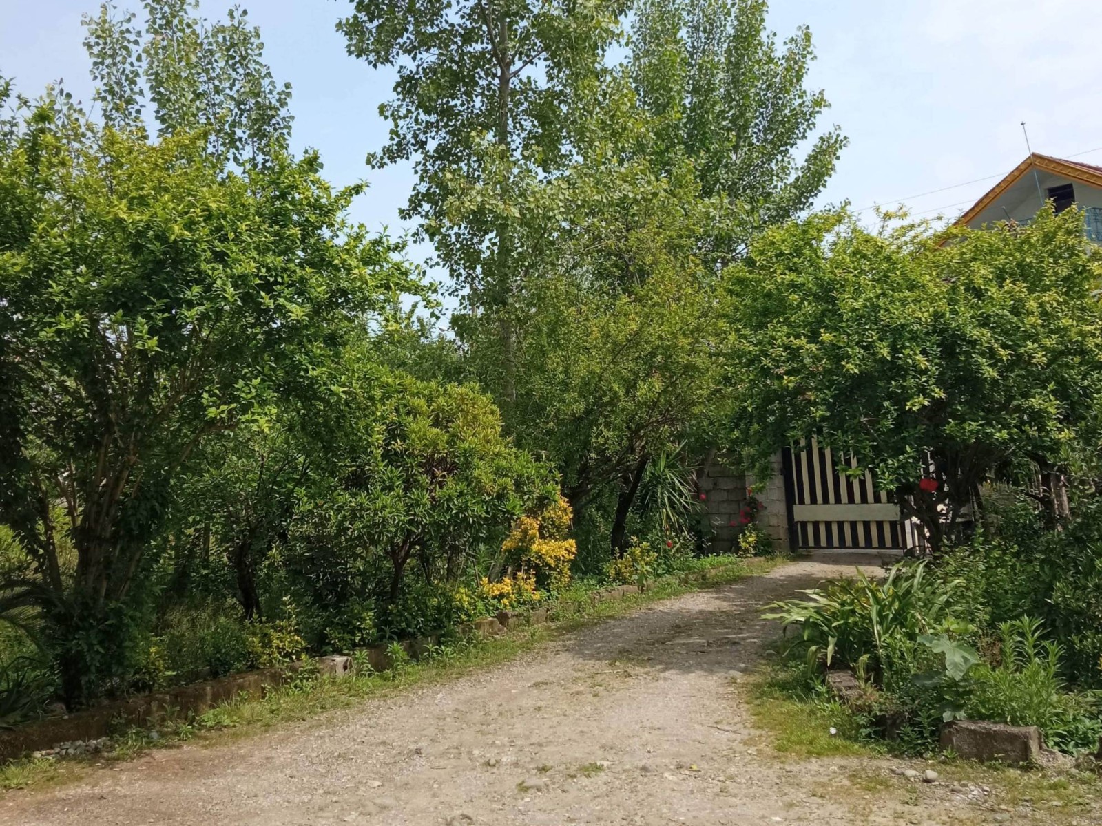 نمای بیرونی ساختمان