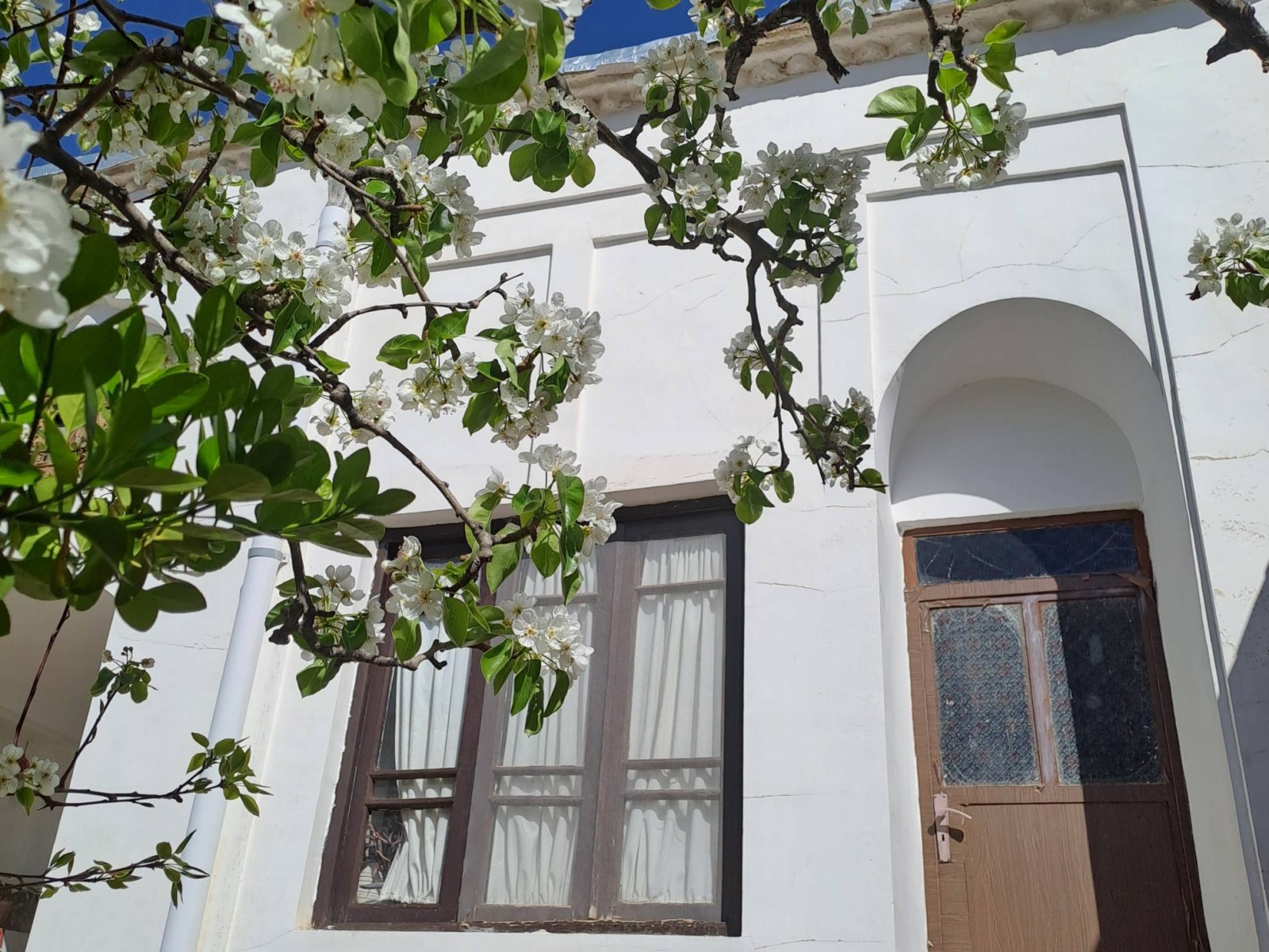 نمای بیرونی ساختمان نمای بیرونی ساختمان