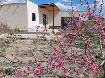 ویلای تک خوابه اصفهان