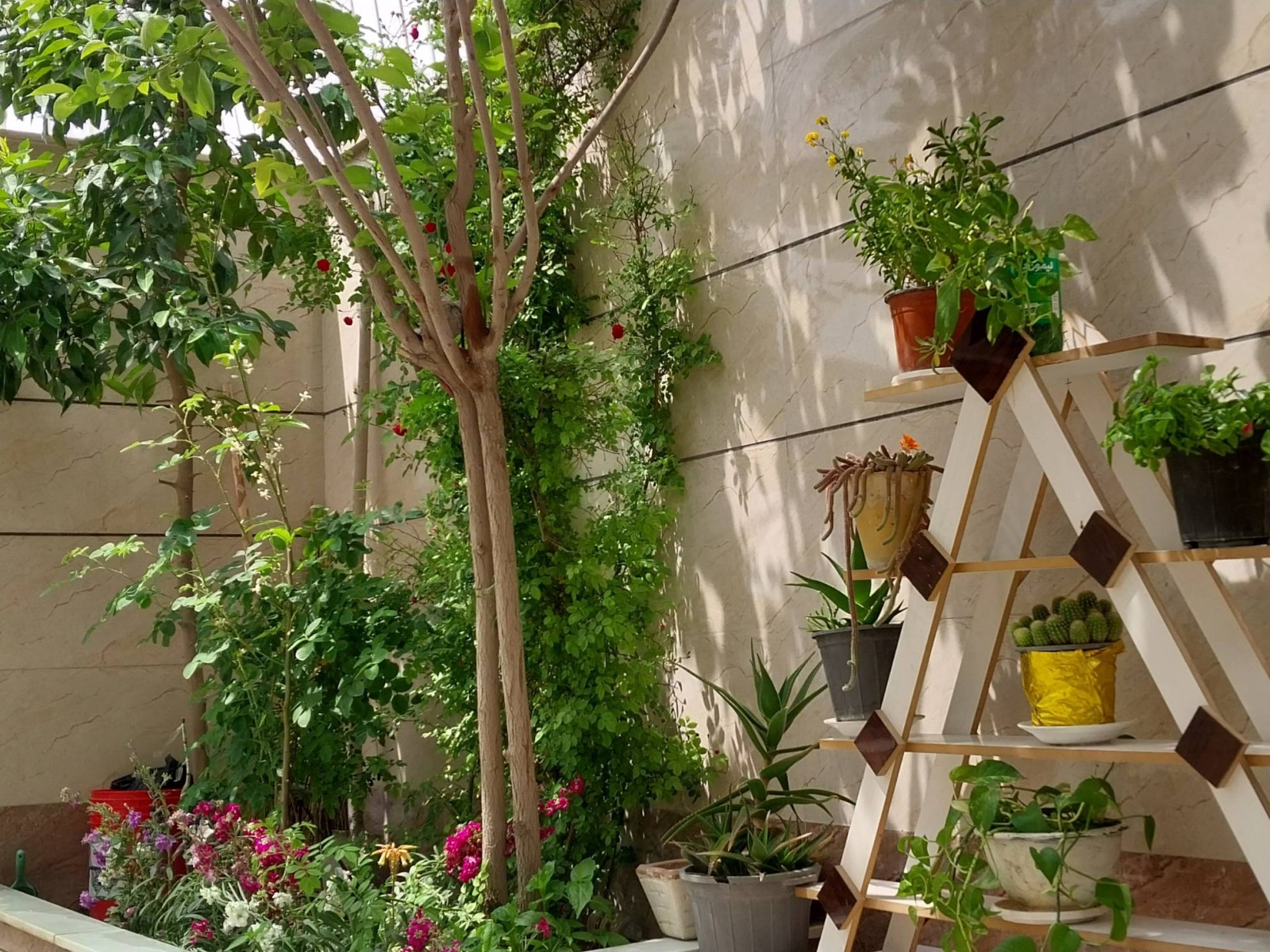 نمای بیرونی ساختمان نمای بیرونی ساختمان
