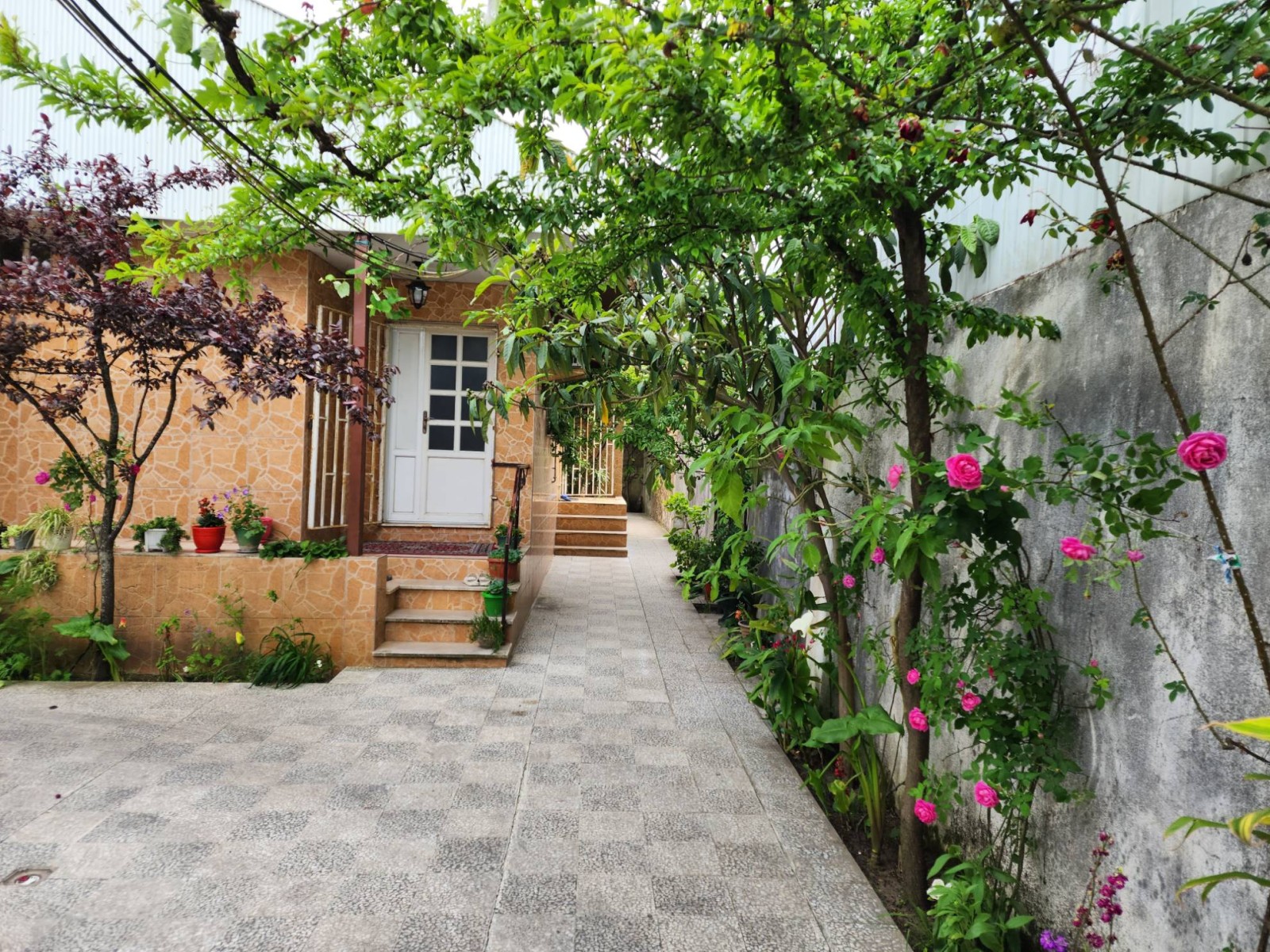 نمای بیرونی ساختمان نمای بیرونی ساختمان