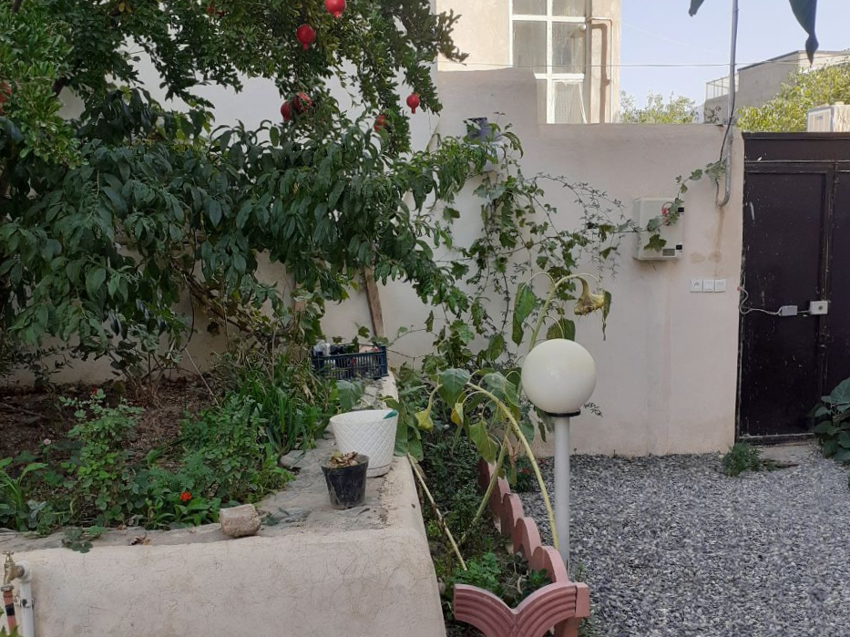 حیاط