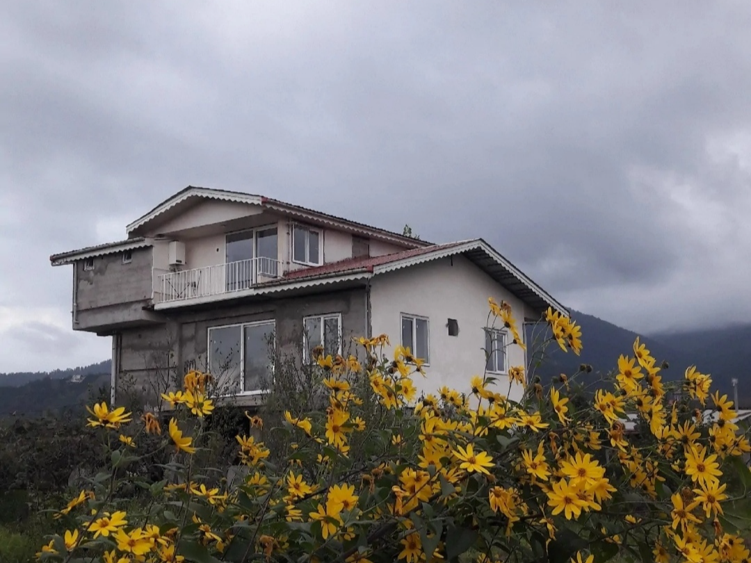 نمای بیرونی ساختمان نمای بیرونی ساختمان