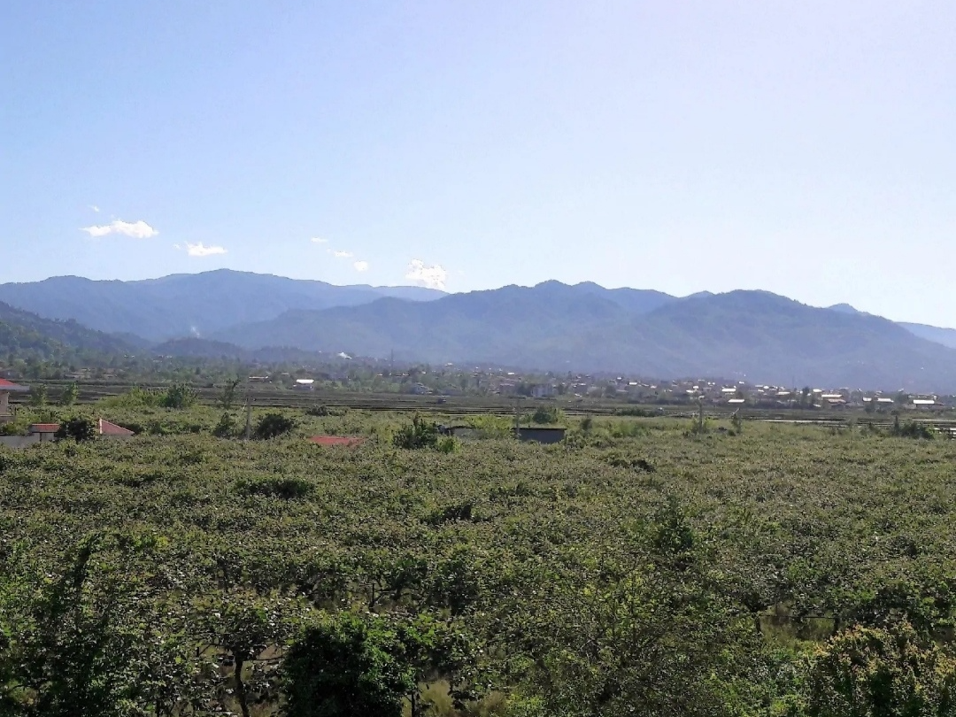 چشم انداز تراس چشم انداز تراس