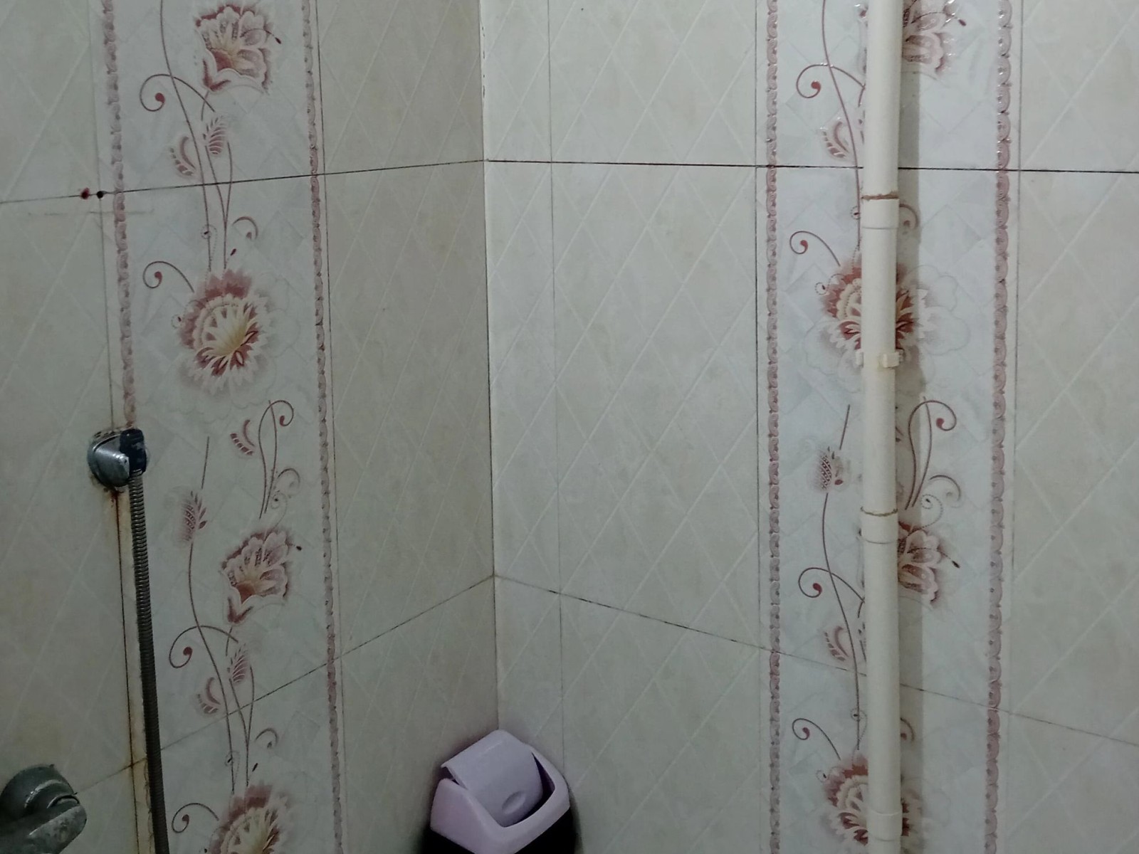 سرویس بهداشتی